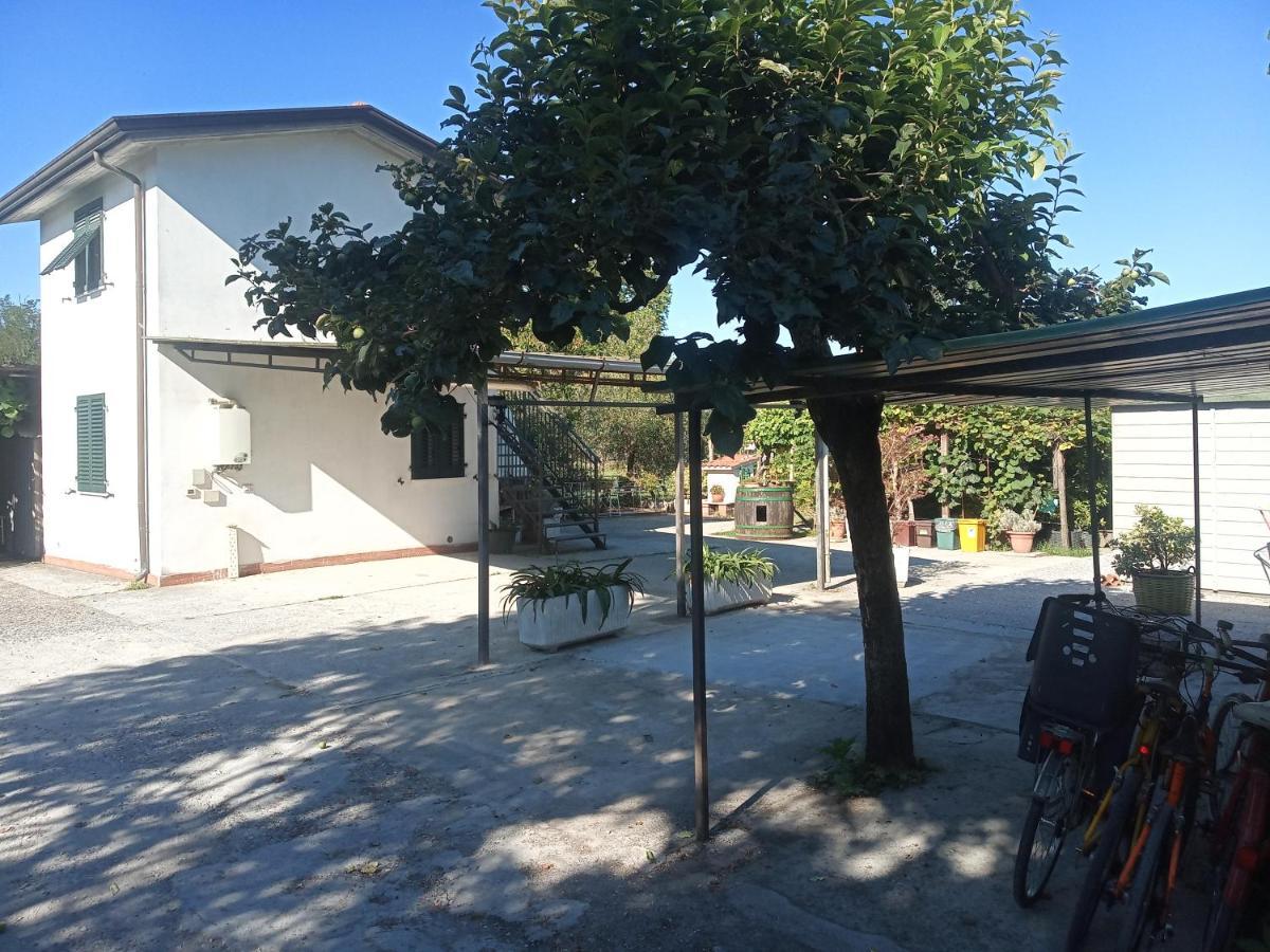 Nonna Piera Marina Di Carrara