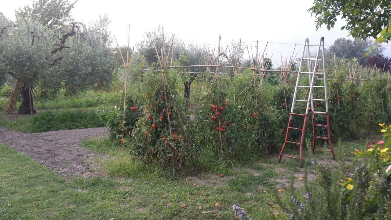 Nonna Piera *