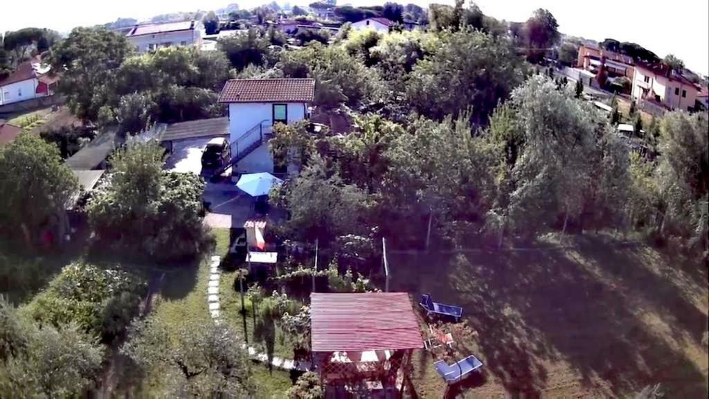 Bed and breakfast Nonna Piera Marina Di Carrara