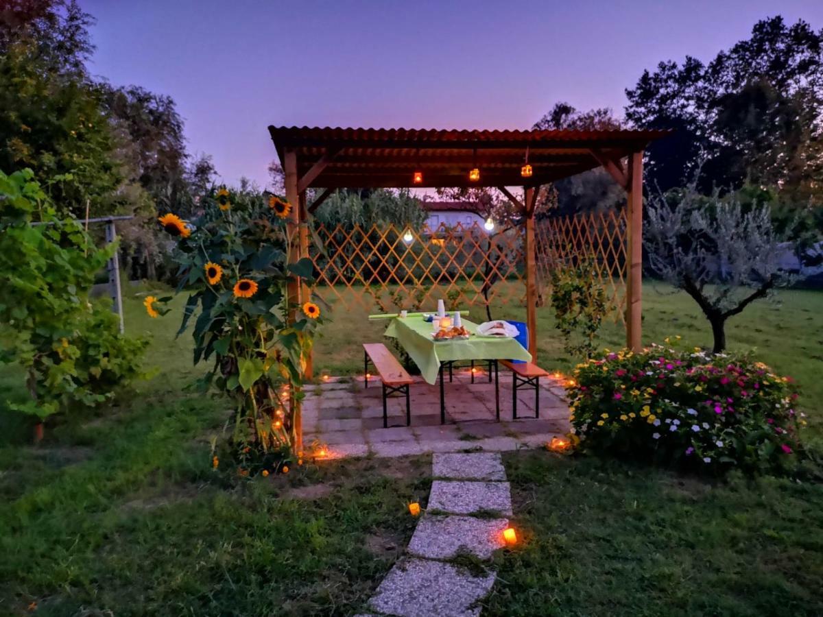 Nonna Piera Marina Di Carrara