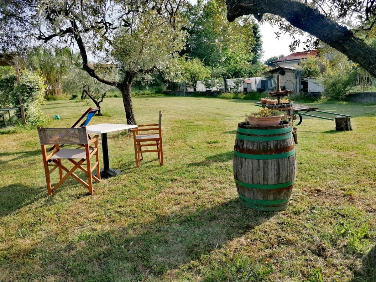 Bed & Breakfast Nonna Piera *